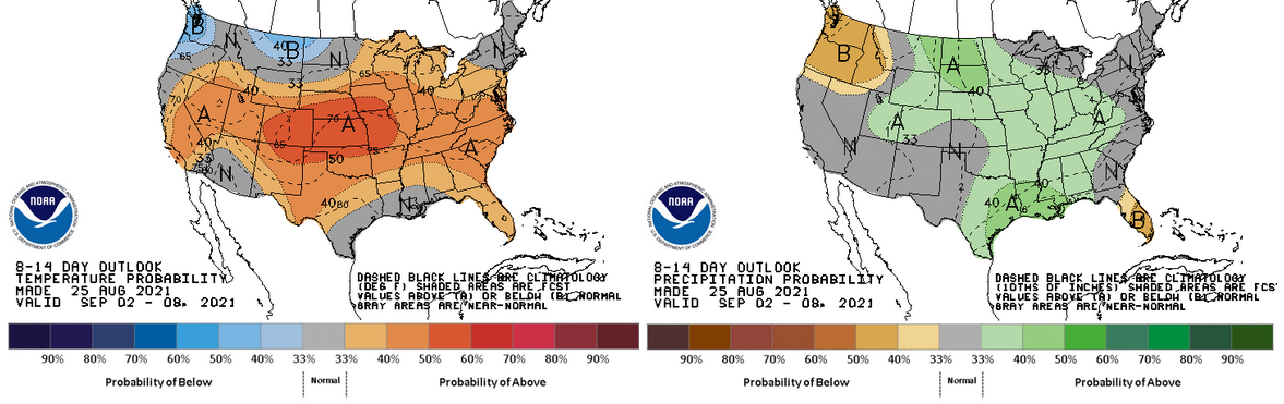 The 8–14 day outlook.